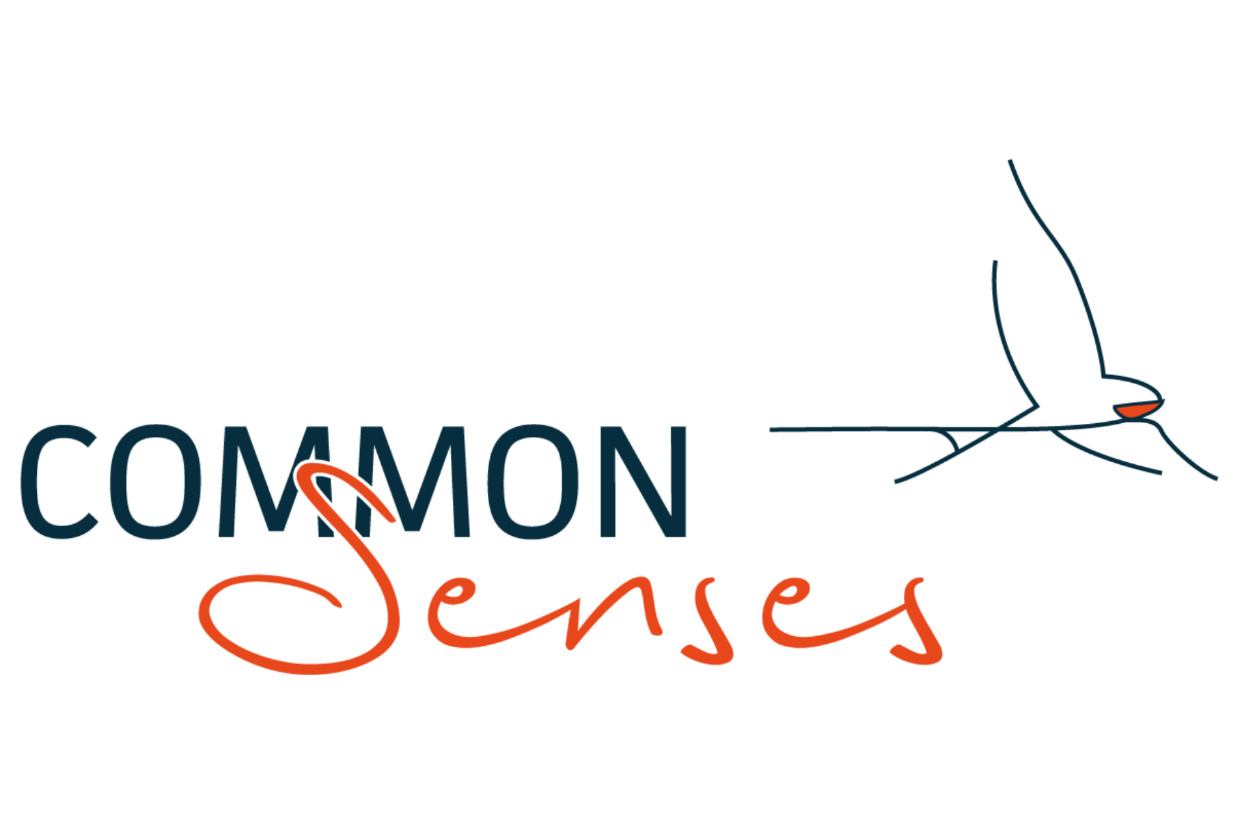 Common senses kleur